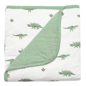 Kyte Dino Baby Blanket